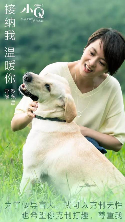 改革宗神学大学 Diploma in Electronic Engineering